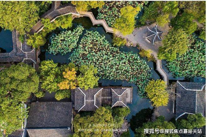 绍兴随园最新动态更新💖🌸