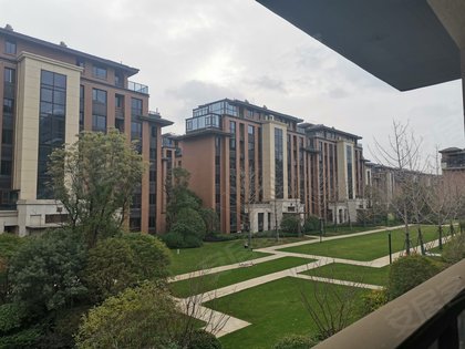 新力象湖湾最新动态揭秘,小巷深处的特色小店惊喜亮相!