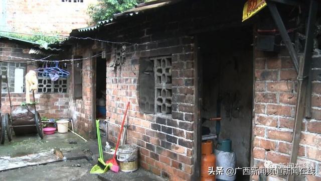 定州贴吧最新消息揭秘,巷弄深处的隐藏瑰宝