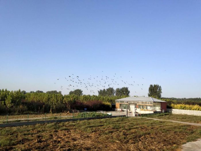 北京铭悦公棚最新公告,自然美景探索之旅邀请