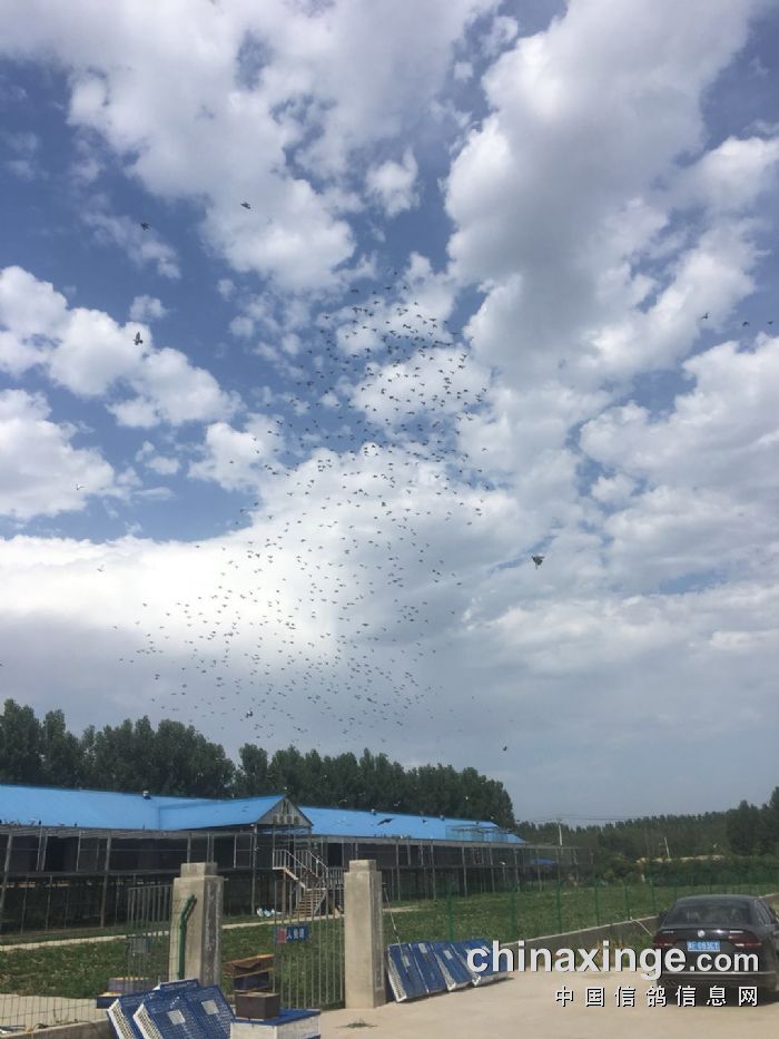 北京铭悦公棚最新公告,自然美景探索之旅邀请