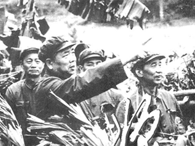 巨野车祸最新消息及应对步骤指南