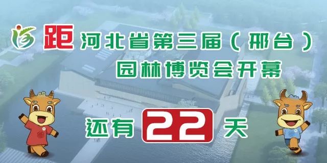 邢台沙河市最新招聘信息汇总