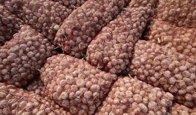 丕州大蒜最新价格一览表