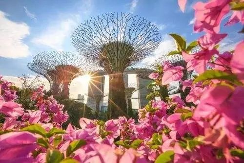 苏阿姨公司最新动态,自然美景探索之旅启程!