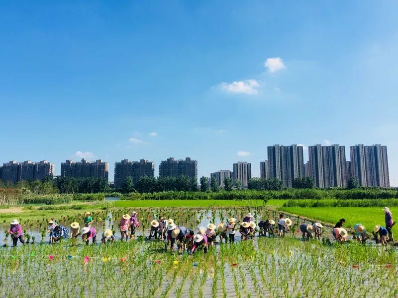 苏阿姨公司最新动态,自然美景探索之旅启程!