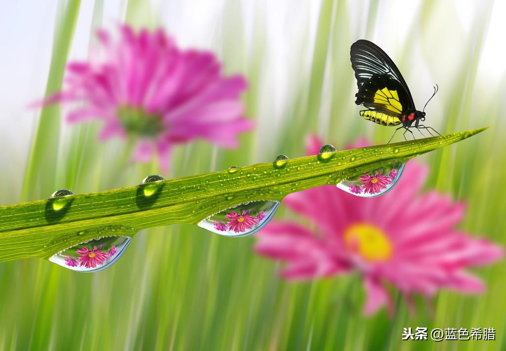 小草之家最新手机地址，小巷探秘的意外发现