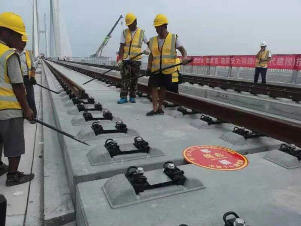 鳊鱼洲大桥最新进展、争议与未来展望消息揭秘