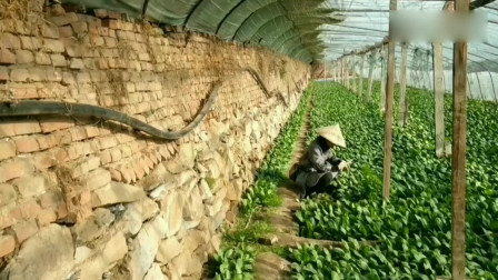 蔚县最新资讯速递