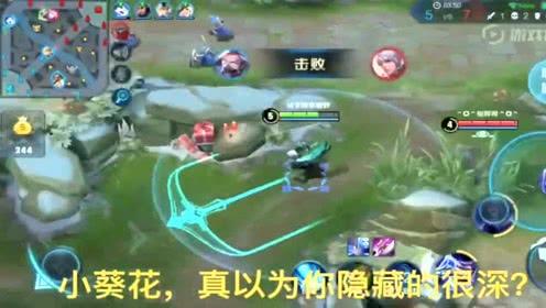 王者荣耀最新更新内容深度解析,影响及展望