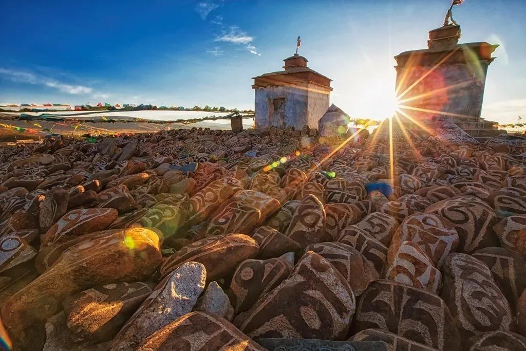 最新好评电视剧,心灵与自然的奇妙之旅