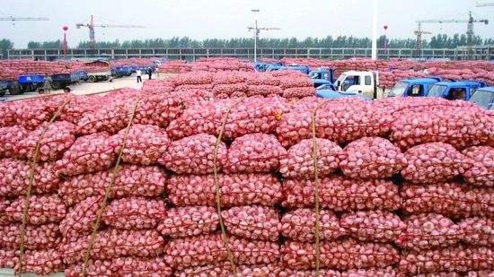 山东大蒜最新价格,时代印记与市场动态