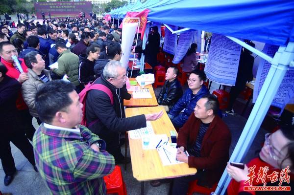 郴州最新招聘信息及求职步骤指南