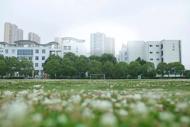 洪泽最新招聘信息,启程学习之旅,乘风破浪寻找人才