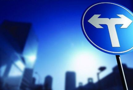 河南大蒜最新价格,市场繁荣背后的洞察与趋势分析