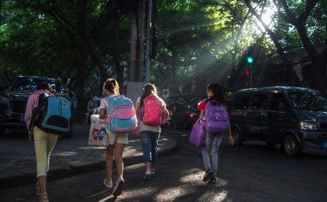 教育部最新开学通知引发的独特小巷奇遇