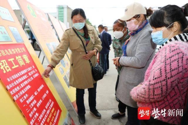 阜宁最新招聘信息深度探讨