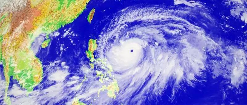 台风天鸽最新动态,温馨日常故事在天鸽的羽翼之下