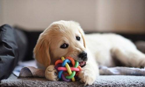 达州最新招聘信息,家的温馨故事与求职者的新起点