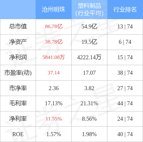 沧州明珠最新动态更新,揭秘最新消息