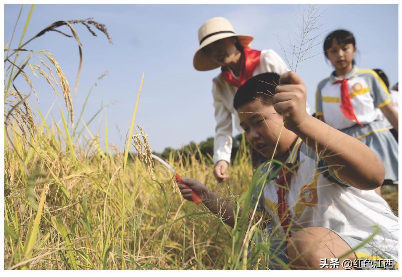 新余市最新动态,温馨日常与家的喜悦,友情的温暖时刻
