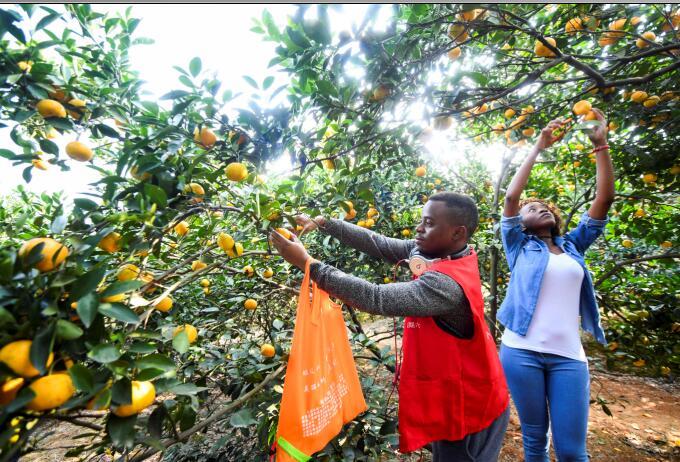 新余市最新动态,温馨日常与家的喜悦,友情的温暖时刻