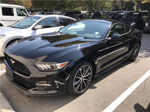 福特野马最新报价及市场趋势深度探讨与个人立场分析