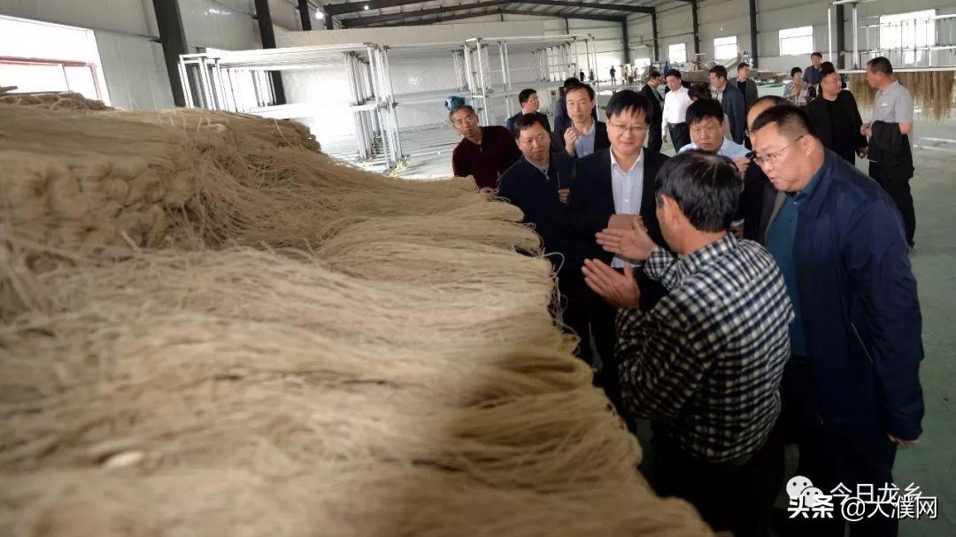 乡镇改革最新方案引领乡村振兴新浪潮