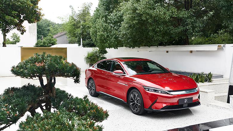 黄金100秒最新一期,速度与爱的完美碰撞时刻!