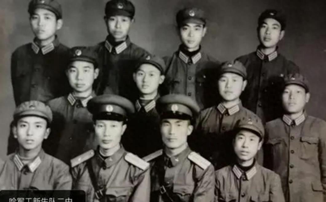 北戴河新区最新动态,发展与挑战并存的最新消息