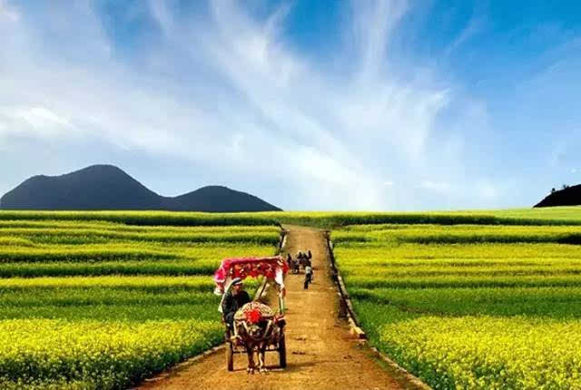 最新客厅,自然美景的心灵之旅启动点