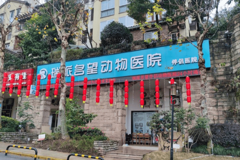 猫咪社区最新破解版深度解析,软件使用的多维度探讨