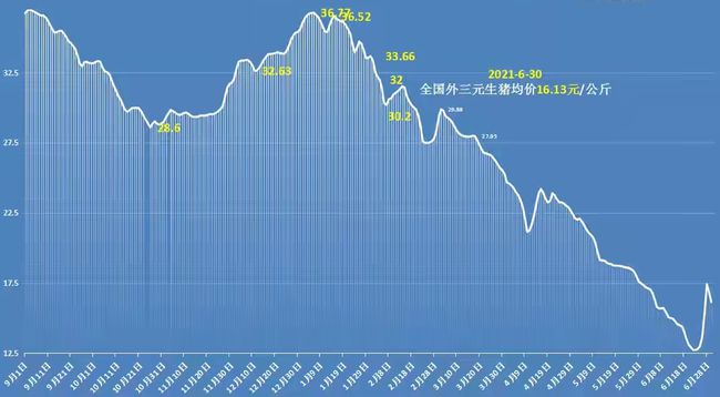 最新今日猪价分析与展望,市场趋势解读及未来预测