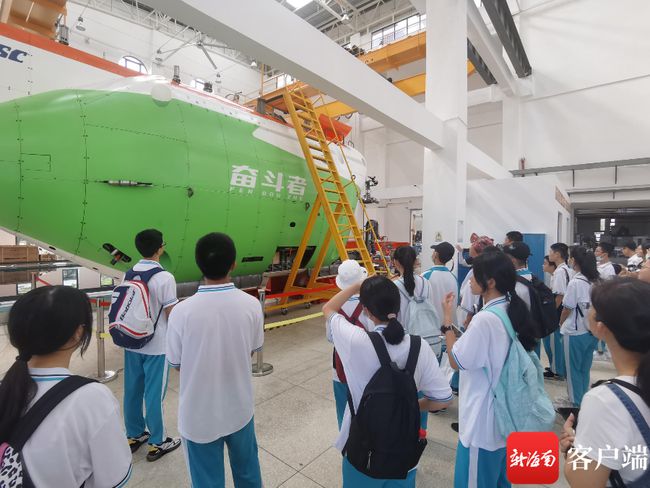 科技时代下的最新资讯探索之旅,揭秘最新网址的撸体验