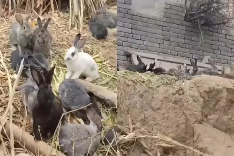 天降巨富掀起阅读热潮的最新章节揭秘!