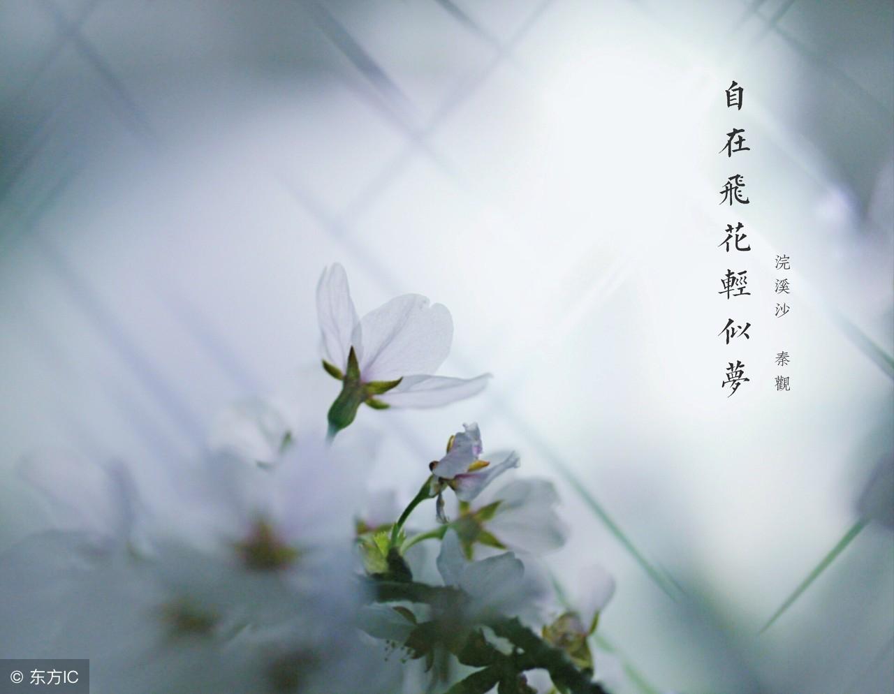 最新中央任命公示,迎接挑战,展现自信与成就