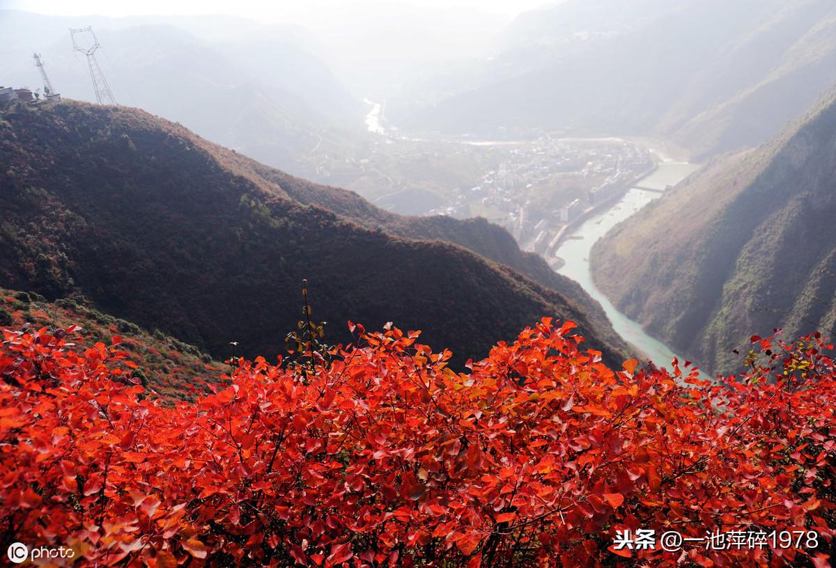 河南宜阳交通事故背后的故事,自然美景之旅的启示