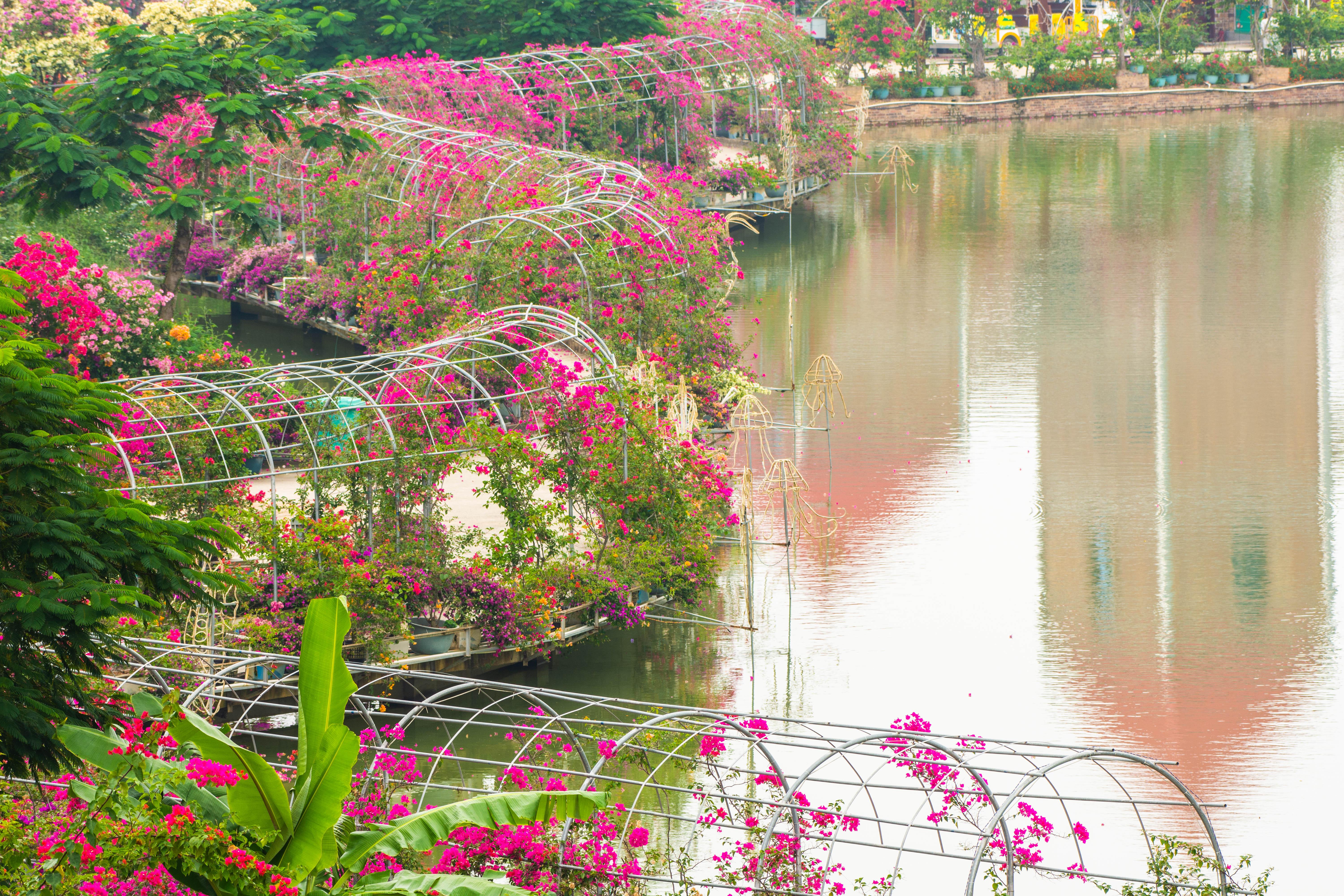 拖龙山隧道建设最新进展详解与任务完成步骤指南(适用于初学者与进阶用户)