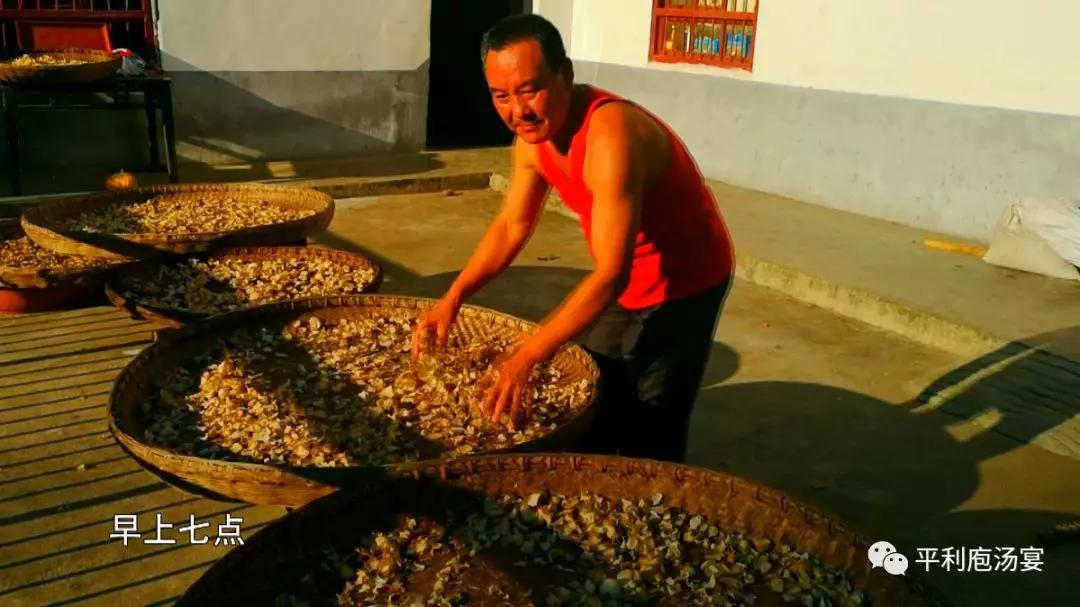 狼与兄弟酷匠最新章节,日常趣事与友情纽带