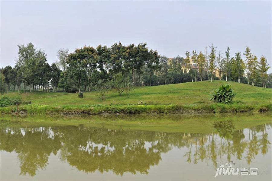 三河香榭河畔,日常趣事与情感纽带的最新图片展示