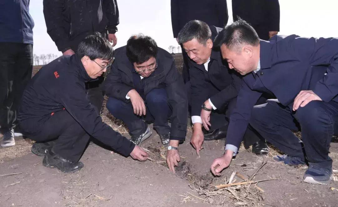 松原农机诈骗最新动态,防范指南与应对步骤揭秘