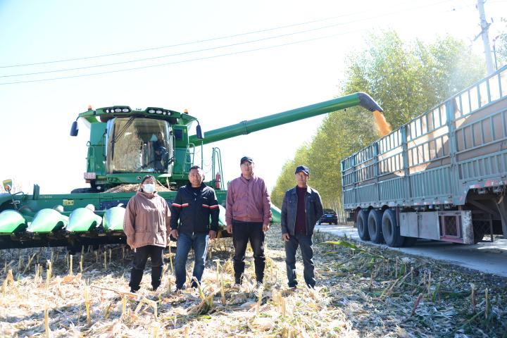 松原农机诈骗最新动态,防范指南与应对步骤揭秘