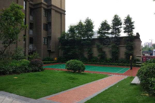 协信天骄公园最新动态揭秘,温馨有趣的日常故事开启新篇章